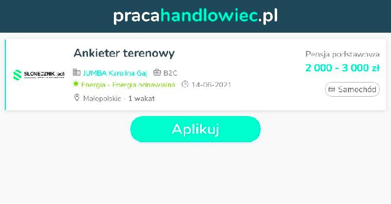 Ankieter terenowy – obowiązki, zarobki i realia pracy w terenie
