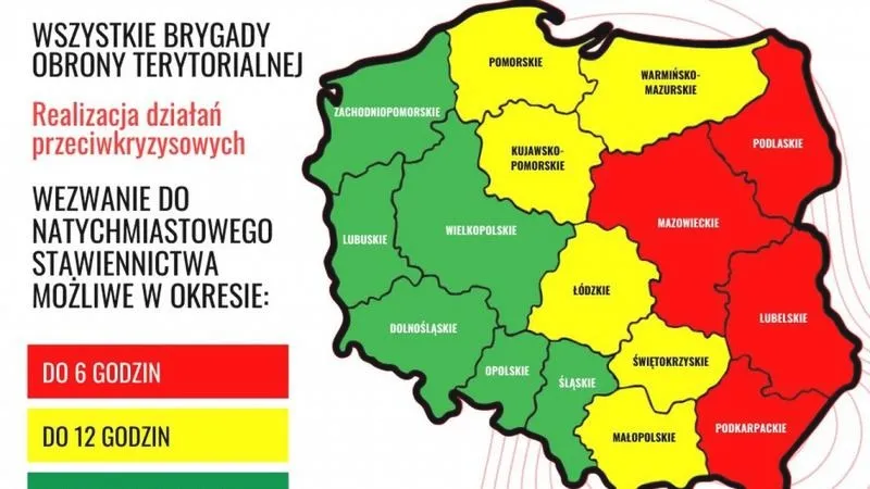 Czy po WOT można pójść na zawodowego? Oto wymagania i ścieżki, które warto znać