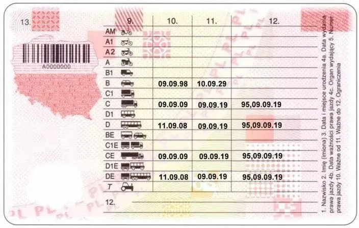 Świadectwo kwalifikacji zawodowej – klucz do sukcesu na rynku pracy