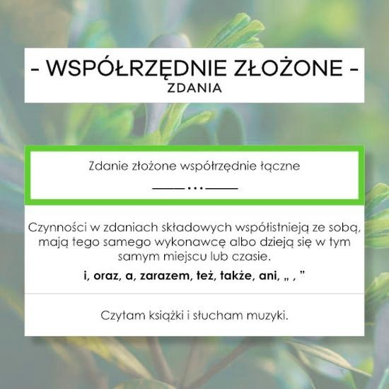 Wypowiedzenia składowe – czym są, rodzaje i przykłady